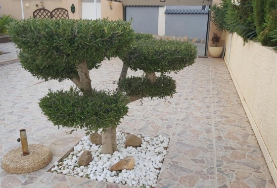 Herverkoop - Vrijstaande Villa -
Benijofar - Costa Blanca