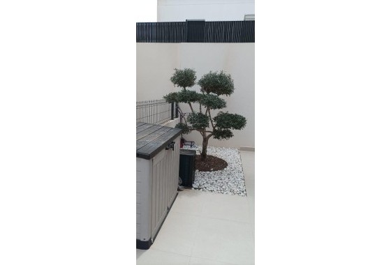 Resale - Freistehende Villa -
Algorfa - La Finca Golf