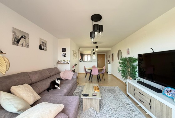 Sprzedaż - Apartament / Mieszkanie -
Torre Pacheco - Inland