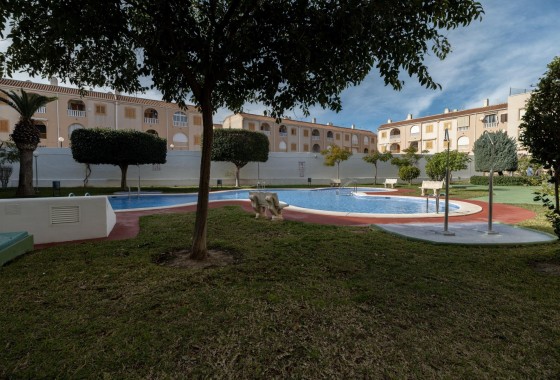 Herverkoop - Appartement / Flat -
Torrevieja - Acequion