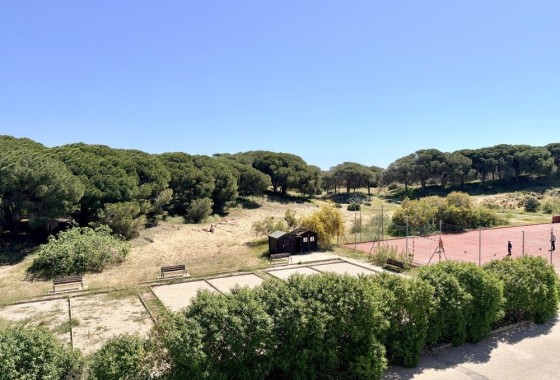 Sale - Apartment Flat -
Guardamar del Segura - Costa Blanca