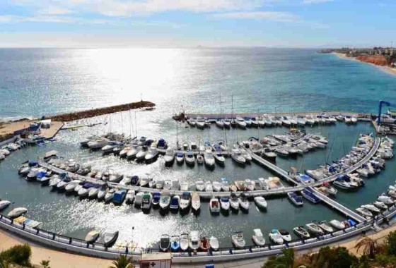 Resale - Wohnung / Appartement -
Villamartín - Costa Blanca