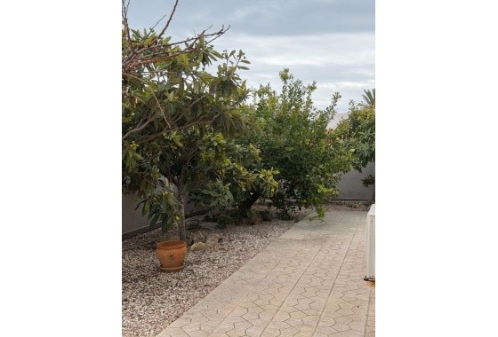 Sale - Detached Villa -
Playa Flamenca - Costa Blanca
