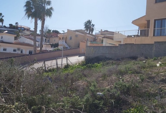 Sprzedaż - Działka / Grunt -
Ciudad Quesada - Rojales - Ciudad Quesada