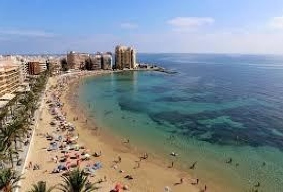 Venta - Apartamento / Piso -
Torrevieja - Estacion de autobuses