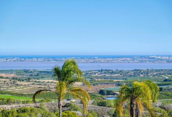 Revente - Villa Individuelle -
San Miguel de Salinas - Inland