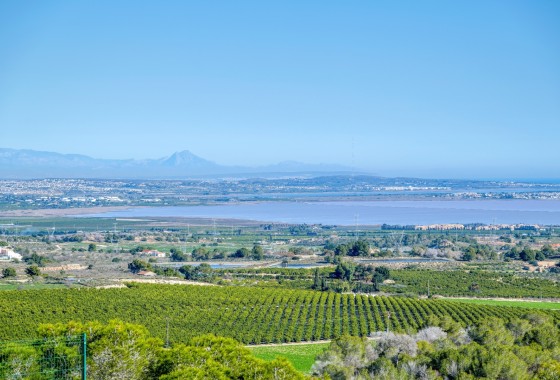Revente - Villa Individuelle -
San Miguel de Salinas - Inland