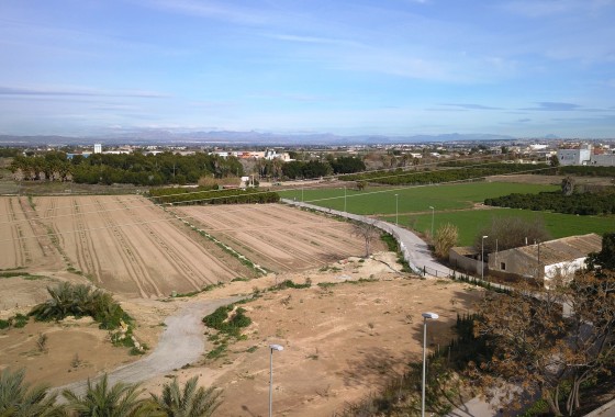 Venta - Parcela / Terreno -
Benijofar - Benijofar - Village