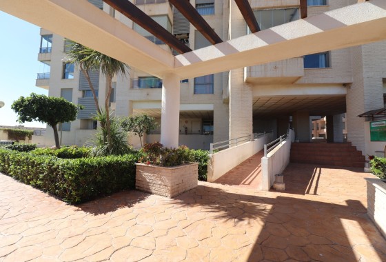 Resale - Wohnung / Appartement -
Guardamar del Segura - Guardamar del Segura - Town