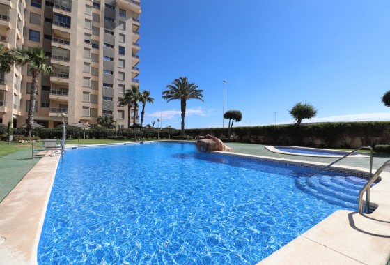 Resale - Wohnung / Appartement -
Guardamar del Segura - Guardamar del Segura - Town