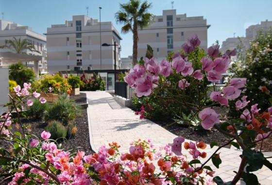 Herverkoop - Appartement / Flat -
Orihuela Costa - Los Dolses