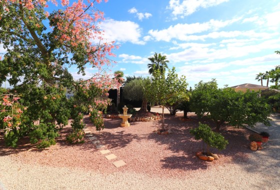 Herverkoop - Finca Landelijk pand -
Orihuela - La Campaneta