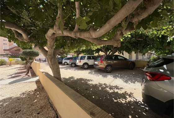 Sale - Apartment Flat -
Torrevieja - La Mata