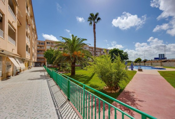 Herverkoop - Appartement / Flat -
Torrevieja - Center