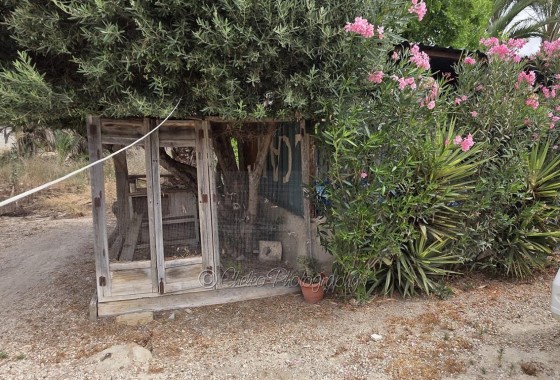 Herverkoop - Stadswoning -
Catral - CatralAlicanteValenciaSpain