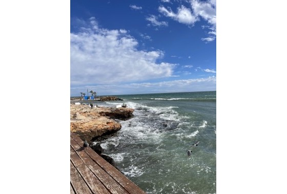 Revente - Appartement -
Torrevieja - Playa de cura