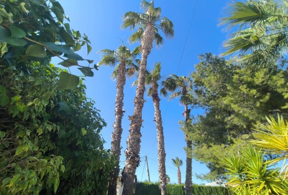 Sprzedaż - Willa wolnostojąca -
Torrevieja - La Siesta