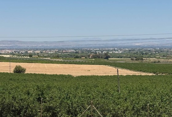 Sprzedaż - Willa wolnostojąca -
Algorfa - Lomas de la Juliana