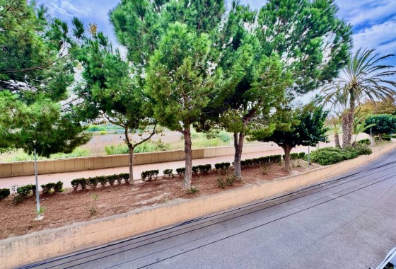 Venta - Apartamento / Piso -
Formentera del Segura - Formentera de Segura