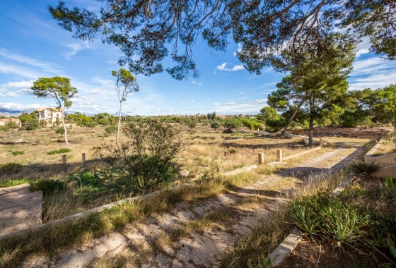 Sale - Detached Villa -
Alicante - Costa Blanca