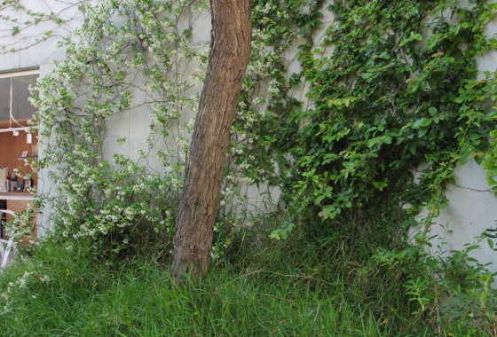Sale - Detached Villa -
San Vicente del Raspeig - Inland