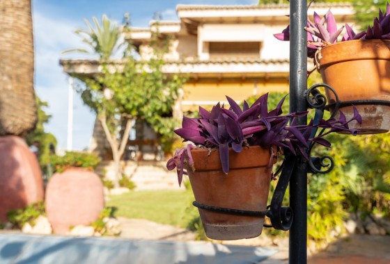 Sale - Detached Villa -
Alicante - Costa Blanca