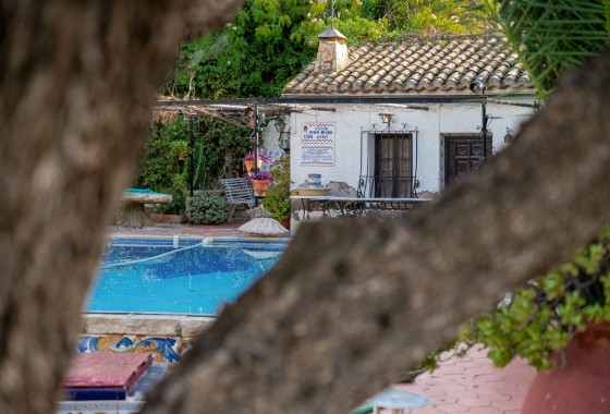 Sale - Detached Villa -
Alicante - Costa Blanca