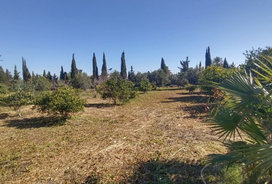 Resale - Freistehende Villa -
Avileses - Inland