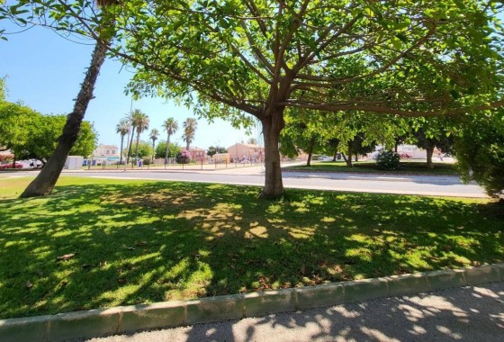 Herverkoop - Appartement / Flat -
Torrevieja - Playa de los Locos
