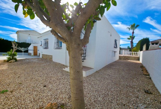 Sprzedaż - Willa wolnostojąca -
Torrevieja - Costa Blanca