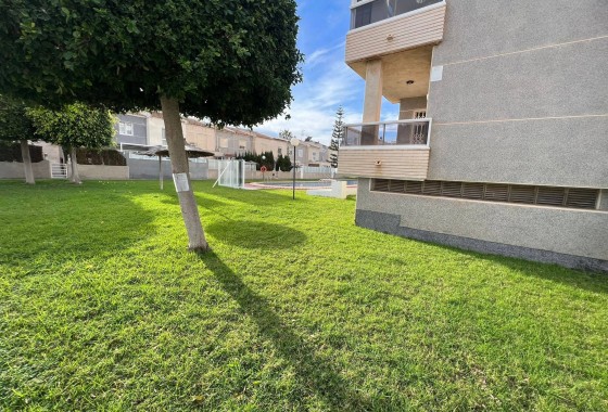 Herverkoop - Appartement / Flat -
Torrevieja - Aguas Nuevas