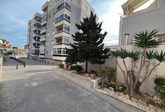 Herverkoop - Appartement / Flat -
Torrevieja - Aguas Nuevas