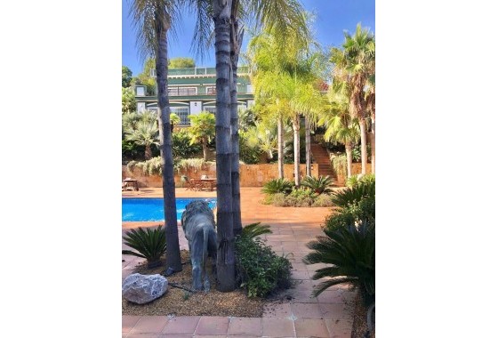 Resale - Freistehende Villa -
El Palmar