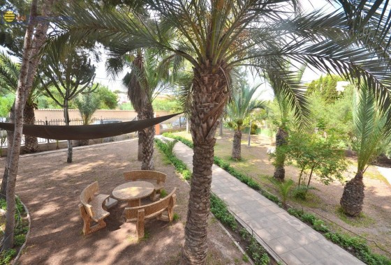 Sale - Detached Villa -
Torrevieja - Los Balcones