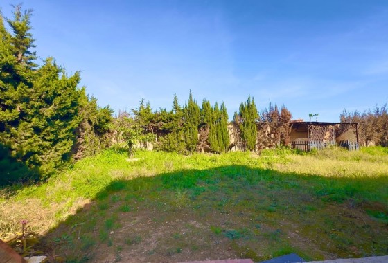 Venta - Chalet Independiente -
Torrevieja - Torreblanca