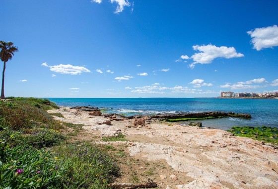 Herverkoop - Appartement / Flat -
Torrevieja - Centro