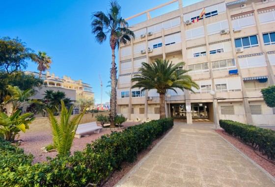 Venta - Apartamento / Piso -
Torrevieja - Torreblanca