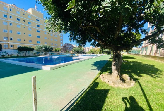 Venta - Apartamento / Piso -
Torrevieja - Torreblanca