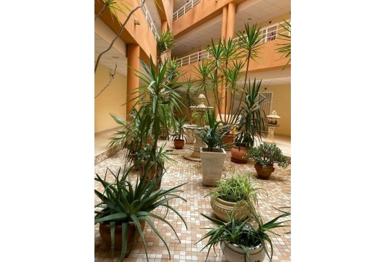 Revente - Appartement -
San Miguel de Salinas - Pueblo 9