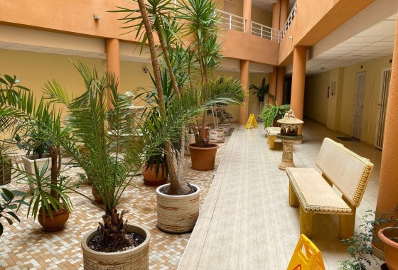Revente - Appartement -
San Miguel de Salinas - Pueblo 9