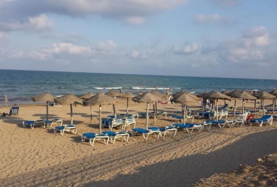 Sprzedaż - Apartament / Mieszkanie -
Torrevieja - La Mata