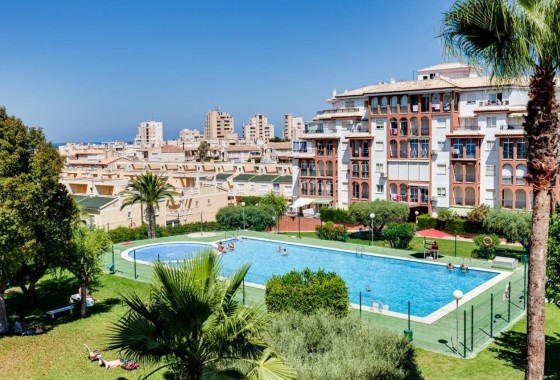 Sprzedaż - Apartament / Mieszkanie -
Torrevieja - Torreblanca