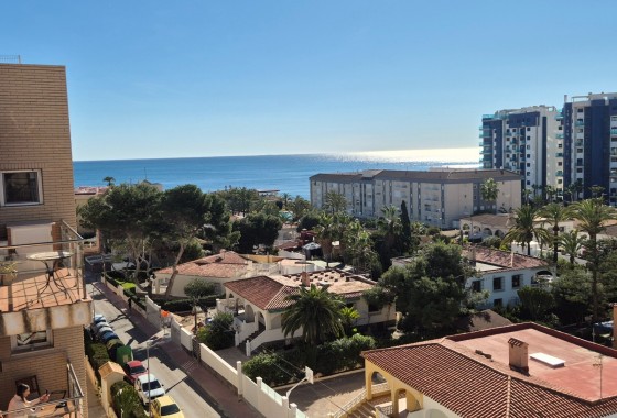 Herverkoop - Appartement / Flat -
Torrevieja - Punta Prima