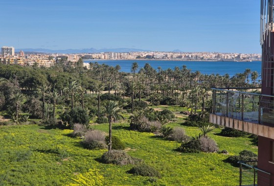 Herverkoop - Appartement / Flat -
Torrevieja - Punta Prima