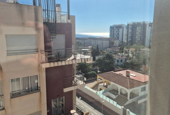 Herverkoop - Appartement / Flat -
Torrevieja - Punta Prima