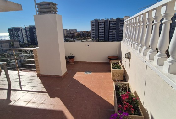 Herverkoop - Appartement / Flat -
Torrevieja - Punta Prima