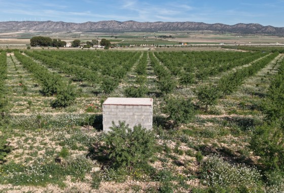 Sprzedaż - Działka / Grunt -
Yecla - Yecla Murcia