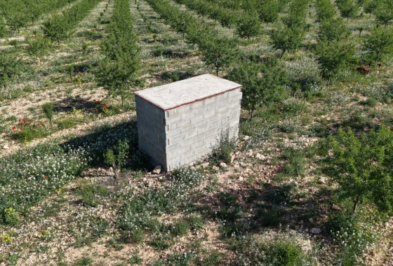 Sprzedaż - Działka / Grunt -
Yecla - Yecla Murcia