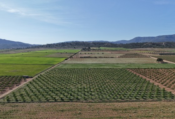 Sprzedaż - Działka / Grunt -
Yecla - Yecla Murcia