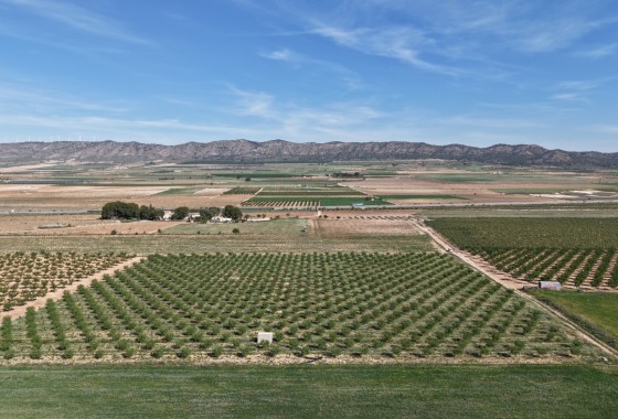 Sprzedaż - Działka / Grunt -
Yecla - Yecla Murcia